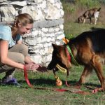 Pozytywne szkolenie psów dla żółtodziobów [recenzja książki]