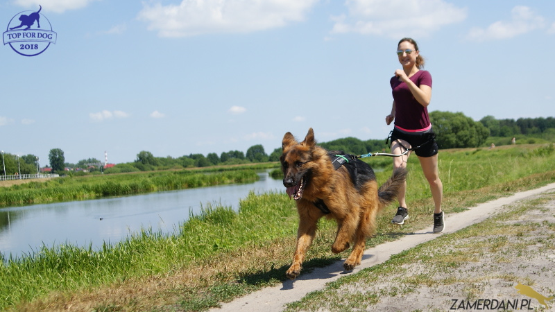 Młoda dziewczyna biegnie polną drogą z psem, który ciągnie ją na pasie. W oddali widać jezioro.