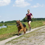 Komplet do biegania z psem – Non-Stop Dogwear [Top For Dog]