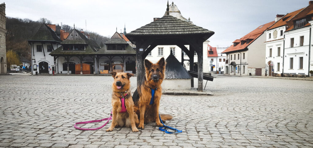 Szybki spacer po najpiękniejszych zakątkach Kazimierza Dolnego to świetna wycieczka na weekend.