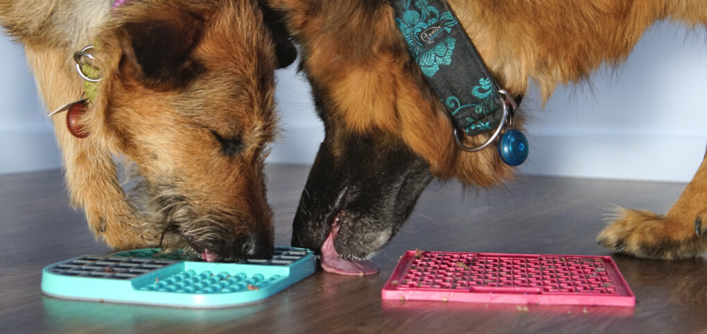 Polecajka numer dwa – LickiMaty!
