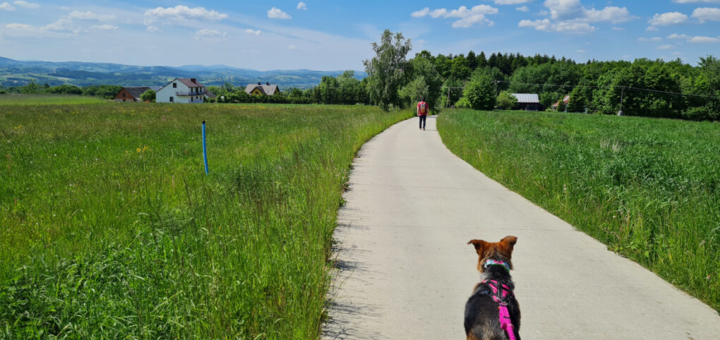 Czerwcowy długi weekend gdzieś w Beskidach