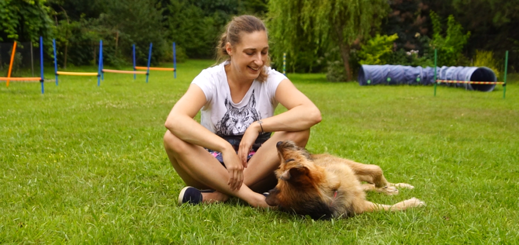 Jak efektywnie uczyć psa nowych rzeczy