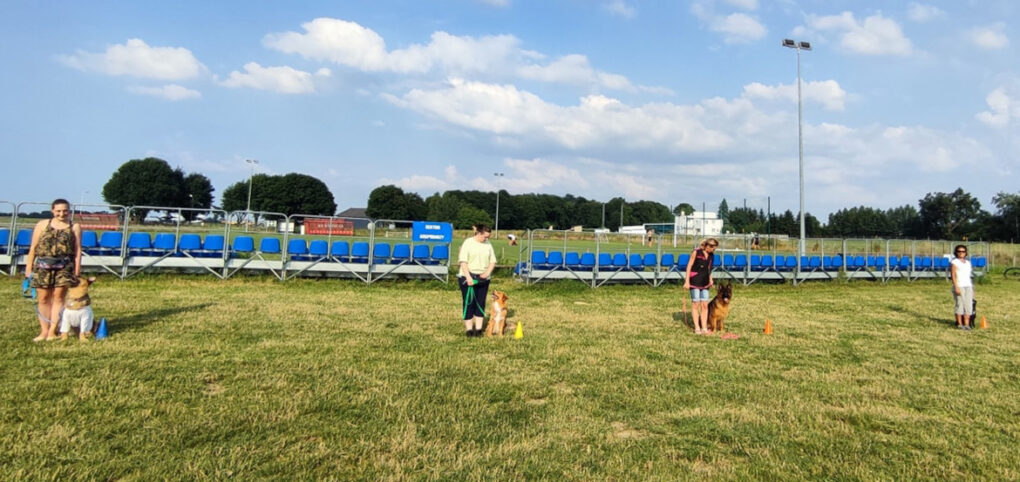 Podsumowanie naszego szkolenia z obedience kl. 0. z Elzą w Energia Psa Centrum Kynologiczne Mińsk Mazowiecki/ Lublin. Czyli jak, coś czym gardziłam ożywiło moją relację z psem.