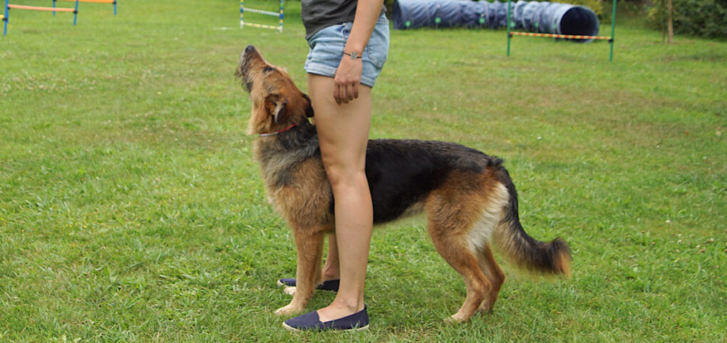Przepis na 