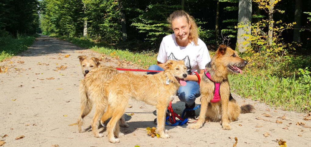 Pewna blogerka zarzekała się, że zawsze będzie miała psy rasowe, owczarki, samców i że dwa psy to absolutne minimum i maksimum, a skończyła z trójką brodatych, praterrierzych dziewczyn.