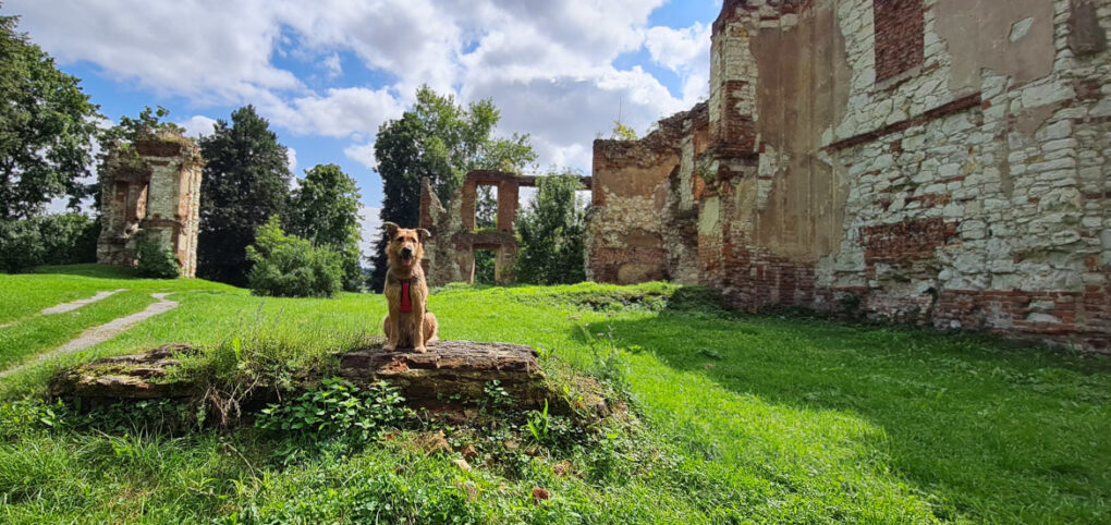 Południowy szlak podlubelskich ruin