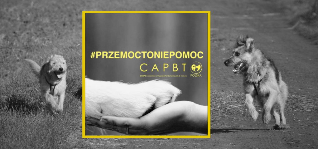 Przemoc To Nie Pomoc - podpisz petycję i przyłącz się do akcji