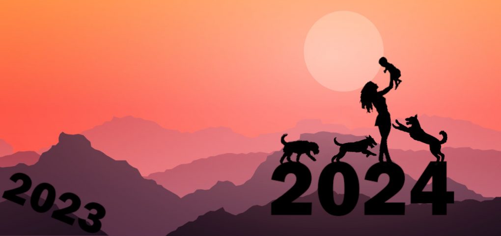 Podsumowanie 2023 i plany na 2024