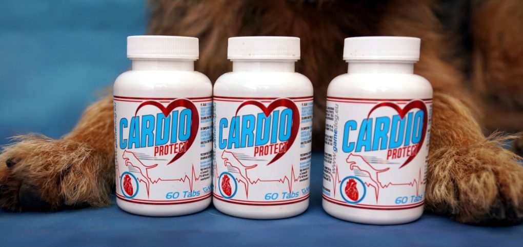 Cardio Protect od Game Dog