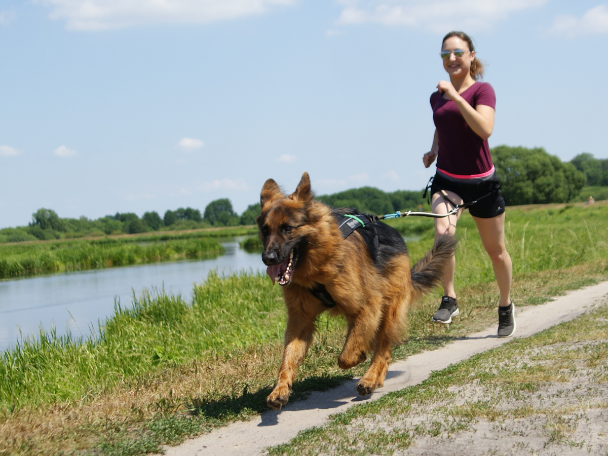 Canicross Lublin – bieganie z psem i przygotowanie do Hard Dog Race