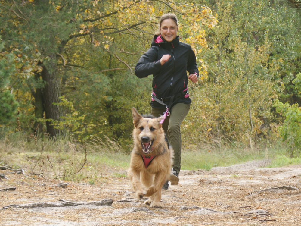 Kurs biegania z psem Canicross i Hard Dog Race Lublin