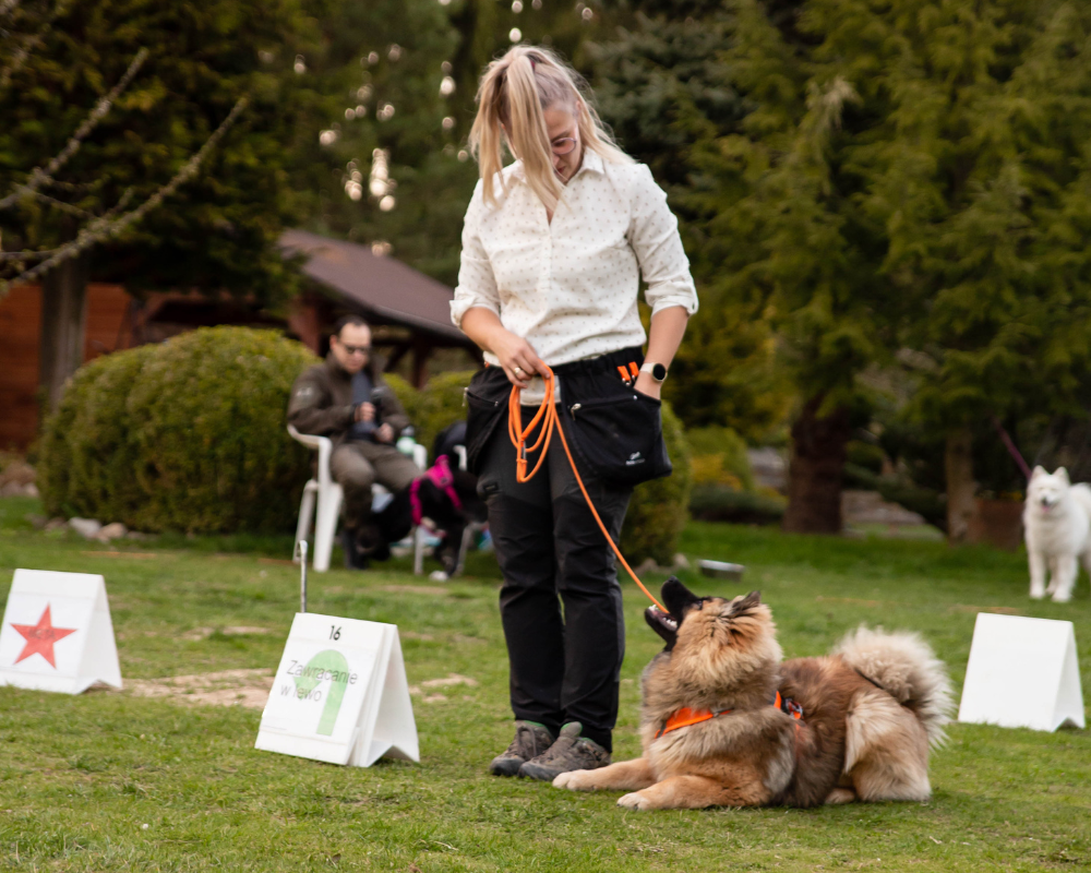 Pies i przewodnik podczas treningu Rally Obedience