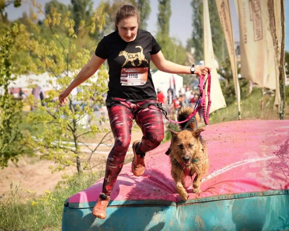 Przygotowanie psa do przeszkód Hard Dog Race