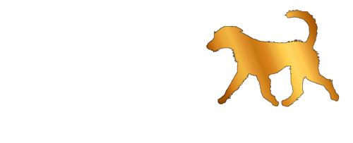 Zamerdana Szkoła dla Psów w Lublinie