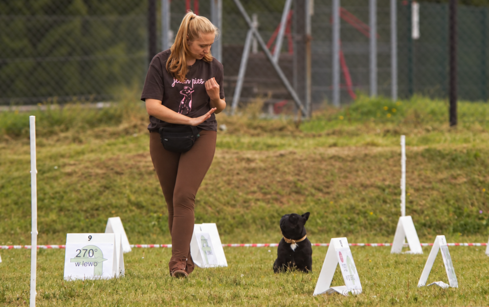 Trening Rally-O z psem w Lublinie